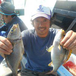 大進丸(愛知) 釣果