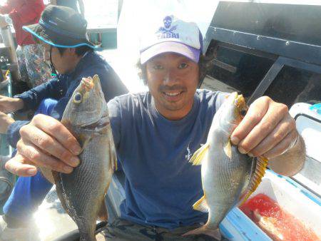 大進丸(愛知) 釣果