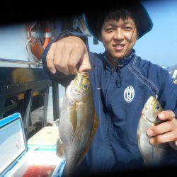 大進丸(愛知) 釣果