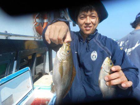 大進丸(愛知) 釣果