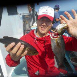 大進丸(愛知) 釣果