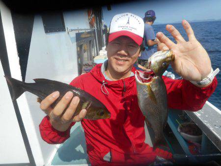 大進丸(愛知) 釣果