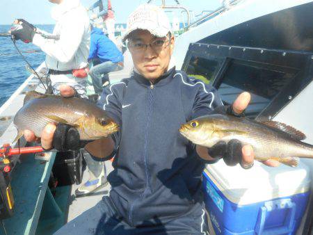大進丸(愛知) 釣果