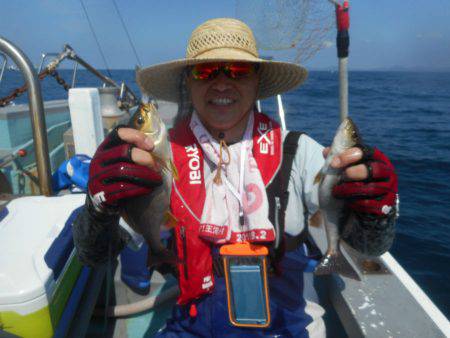 大進丸(愛知) 釣果