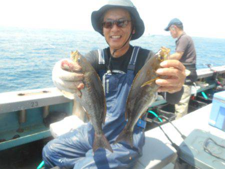 大進丸(愛知) 釣果