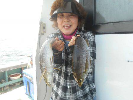 大進丸(愛知) 釣果