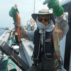 大進丸（愛知） 釣果