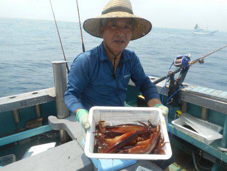 大進丸（愛知） 釣果
