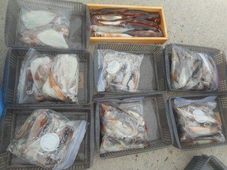 大進丸（愛知） 釣果