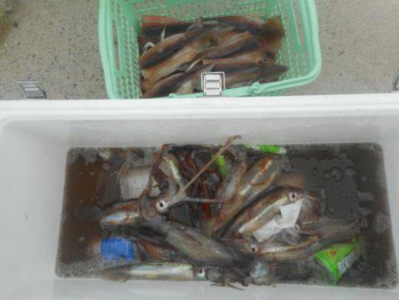 大進丸（愛知） 釣果