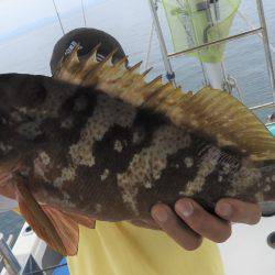 Fisherman Dreams DI 釣果