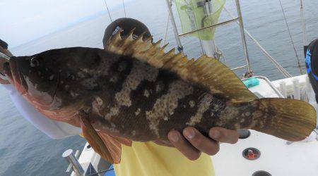 Fisherman Dreams DI 釣果