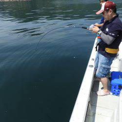 Fisherman Dreams DI 釣果