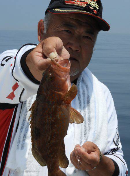 Fisherman Dreams DI 釣果