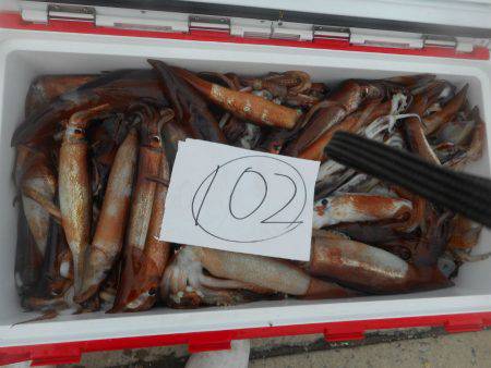 大進丸（愛知） 釣果