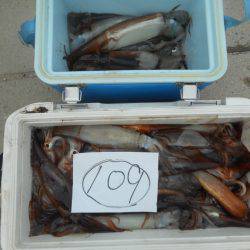 大進丸（愛知） 釣果