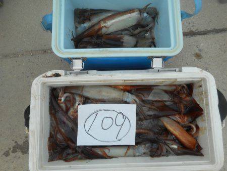 大進丸（愛知） 釣果