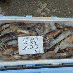 大進丸（愛知） 釣果