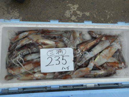 大進丸（愛知） 釣果