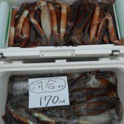 大進丸（愛知） 釣果