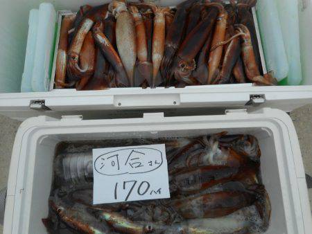 大進丸（愛知） 釣果