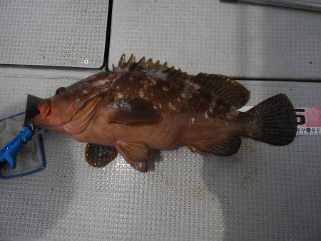 Fisherman Dreams DI 釣果