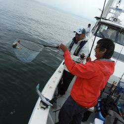 Fisherman Dreams DI 釣果