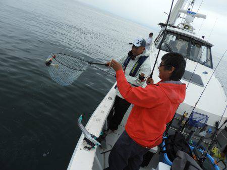 Fisherman Dreams DI 釣果