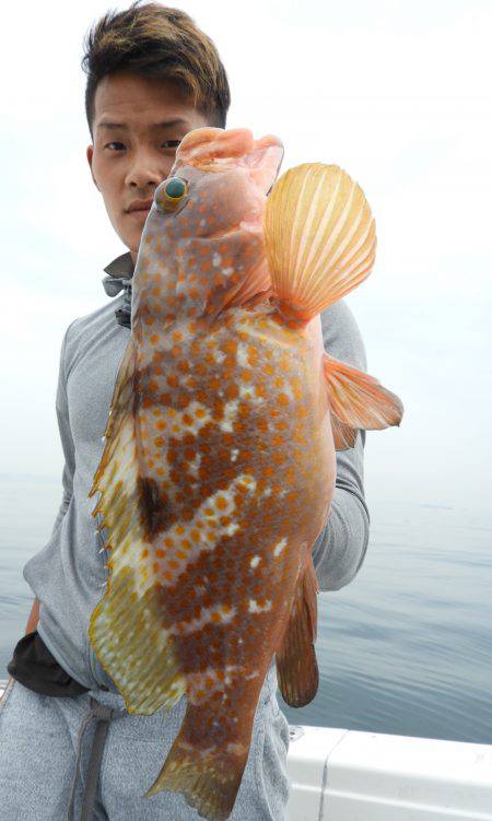 Fisherman Dreams DI 釣果