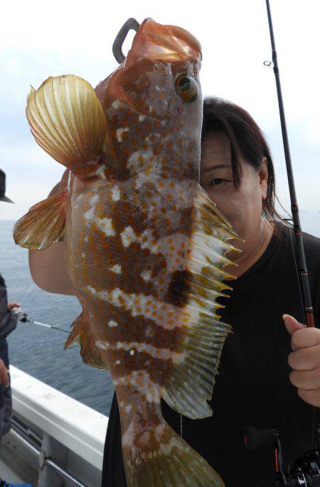 Fisherman Dreams DI 釣果