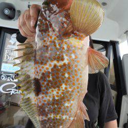 Fisherman Dreams DI 釣果