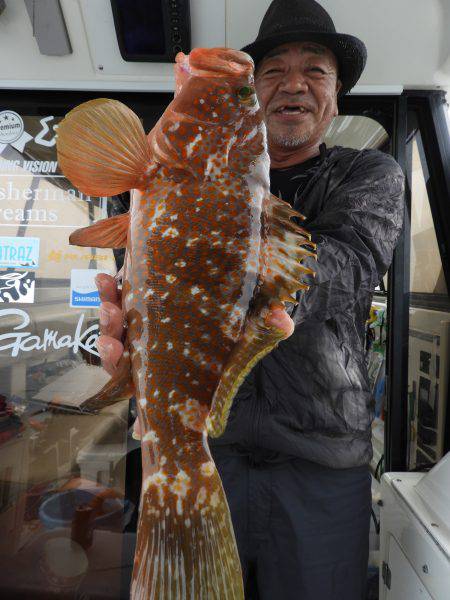 Fisherman Dreams DI 釣果