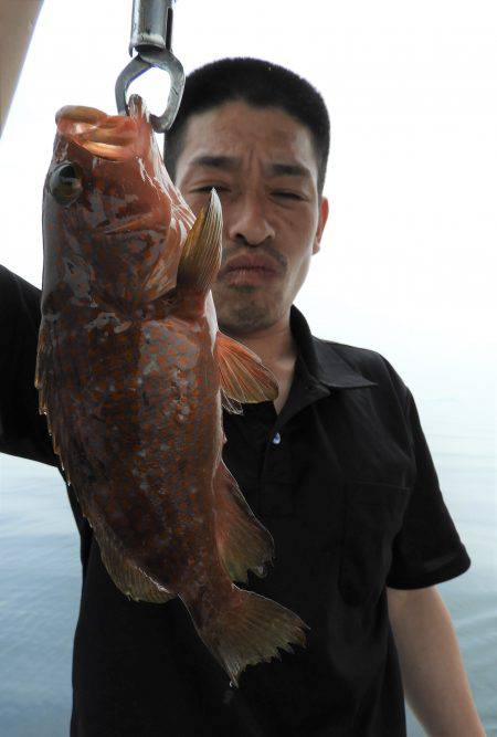 Fisherman Dreams DI 釣果