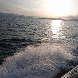 フィッシングボートACE（エース） 釣果