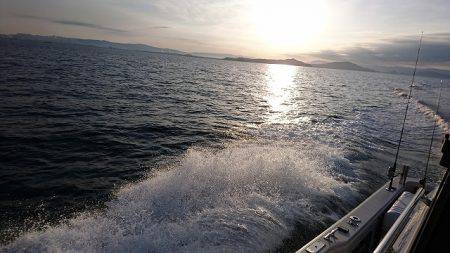 フィッシングボートACE（エース） 釣果