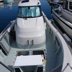 フィッシングボートACE（エース） 釣果