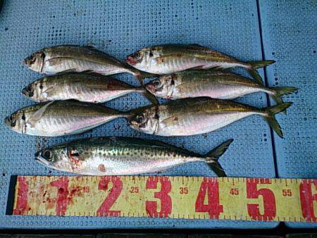 第二常豊丸 釣果