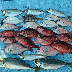 第二常豊丸 釣果