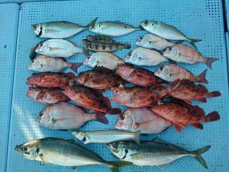 第二常豊丸 釣果