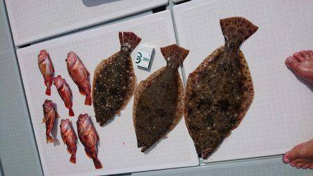 フィッシングボートACE（エース） 釣果