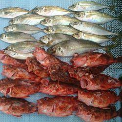 第二常豊丸 釣果