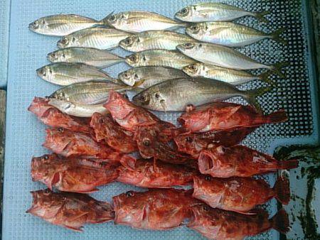 第二常豊丸 釣果