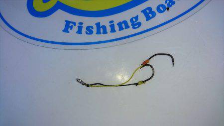 フィッシングボートACE(エース) 釣果