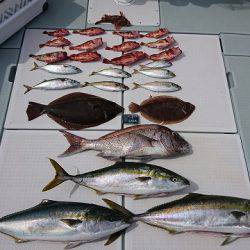 フィッシングボートACE(エース) 釣果