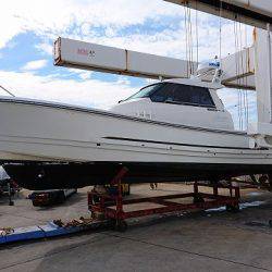 フィッシングボートACE(エース) 釣果