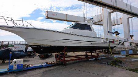 フィッシングボートACE(エース) 釣果