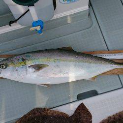 フィッシングボートACE（エース） 釣果