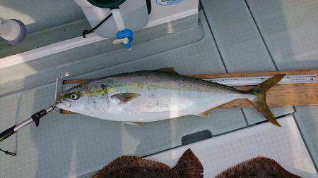フィッシングボートACE（エース） 釣果