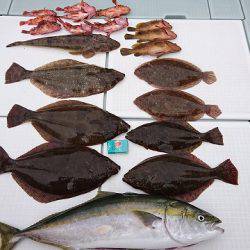 フィッシングボートACE(エース) 釣果