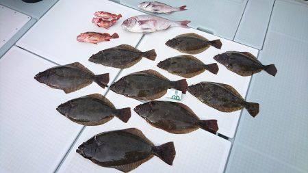 フィッシングボートACE(エース) 釣果